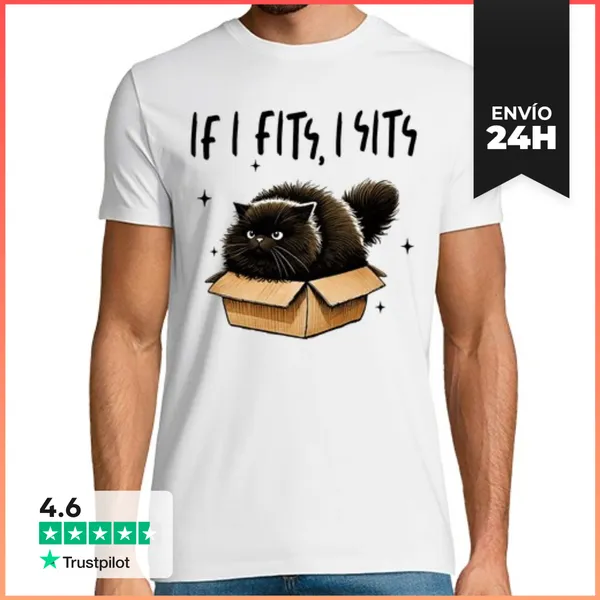 Camiseta Hombre Clásica Gran Gato Negro En Una Caja De Cartón