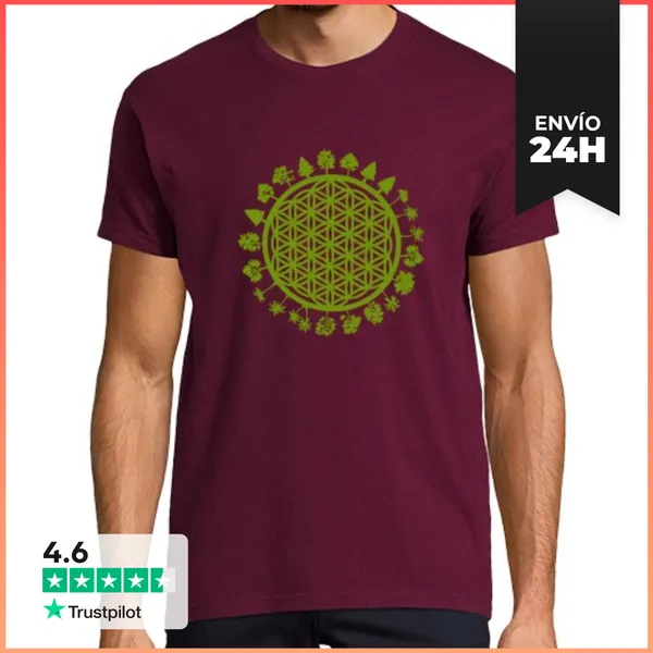 Camiseta Hombre Clásica Hombre, Manga Corta, Burdeos, Calidad