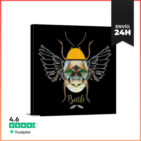 Lienzo Cuadrado Beetle 3 LN LaTostadora