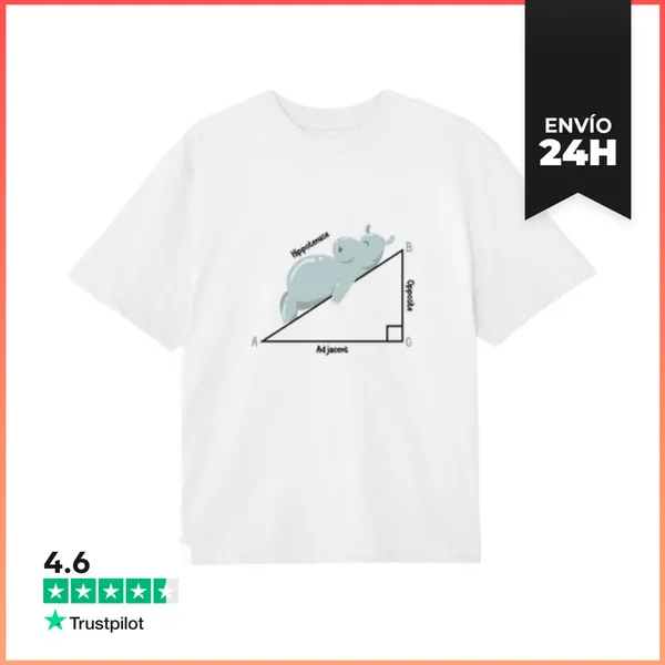 Camiseta Oversize Hipotenusa Humor Matemáticas Hipopótamo