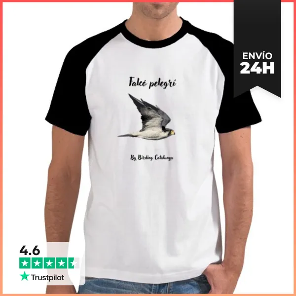 Camiseta Hombre, Estilo Béisbol Falcó Pelegrí LaTostadora