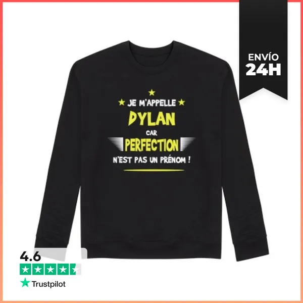 Sudadera Unisex Humor Dylan Y Regalo Divertido LaTostadora
