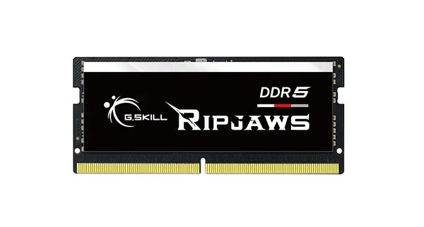 Módulo de memoria G.Skill Ripjaws F5-4800S4039A16GX1-RS