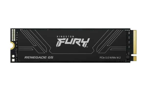 Kingston Technology 8T FURY RENEGADE G5 M.2 2280 NVMe SSD SFYR2D/8T1