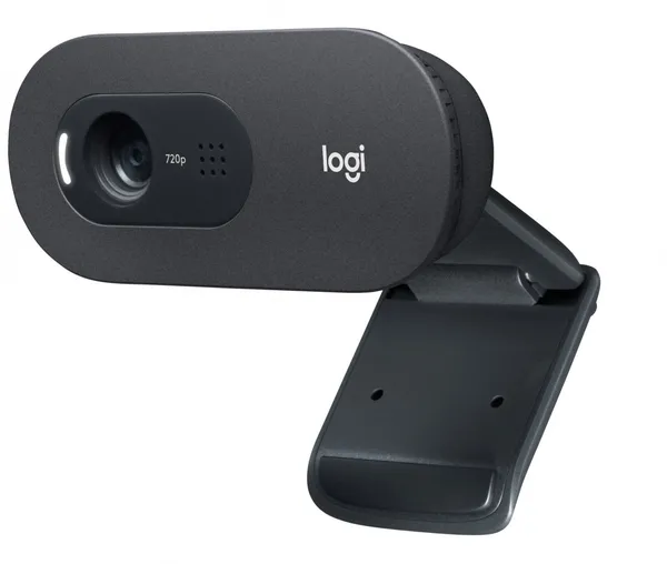 Logitech C505 HD cámara web USB Grafito 960-001364