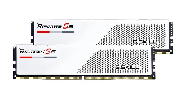 Módulo de memoria G.Skill Ripjaws F5-6000J3040G32GX2-RS5W