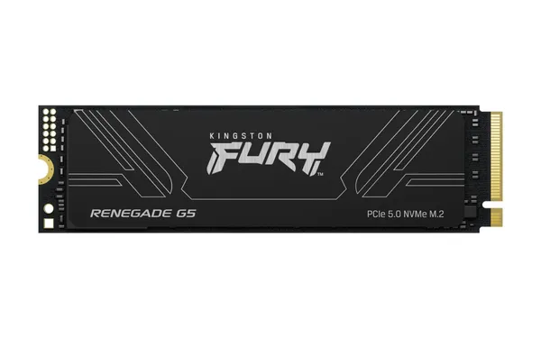 Kingston Technology 2T FURY RENEGADE G5 M.2 2280 NVMe SSD SFYR2S/2T0