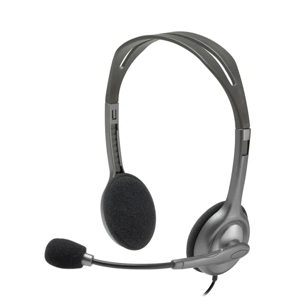 Logitech H110 Auriculares Alámbrico Diadema Oficina/Centro 981-000271