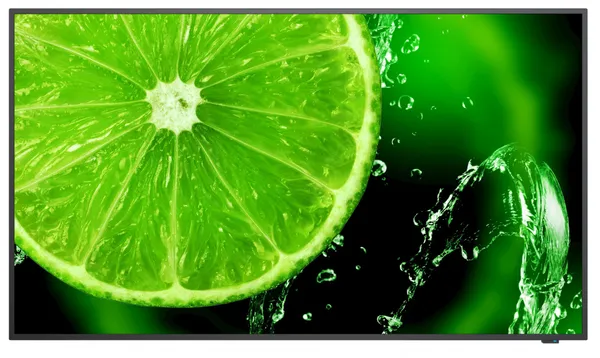 NEC MultiSync E658 165,1 cm (65") IPS 350 cd / m² 4K Ultra 60005059
