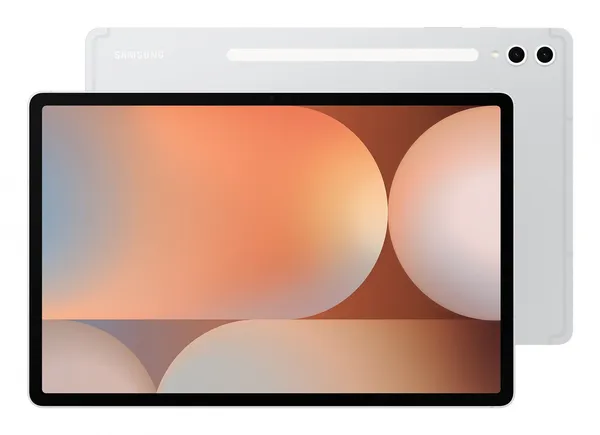 Samsung Galaxy Tab S Galaxy Tab S10+ 256 GB 31,5 cm SM-X820NZSREUB