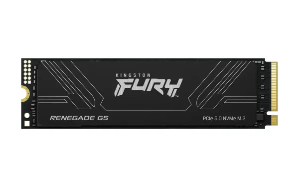 Kingston Technology 4T FURY RENEGADE G5 M.2 2280 NVMe SSD SFYR2S/4T0