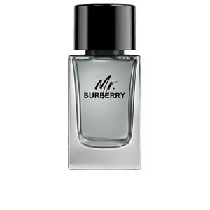 MR. BURBERRY eau de toilette vaporizador 100 ml