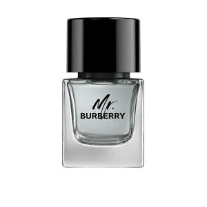 MR. BURBERRY eau de toilette vaporizador 50 ml