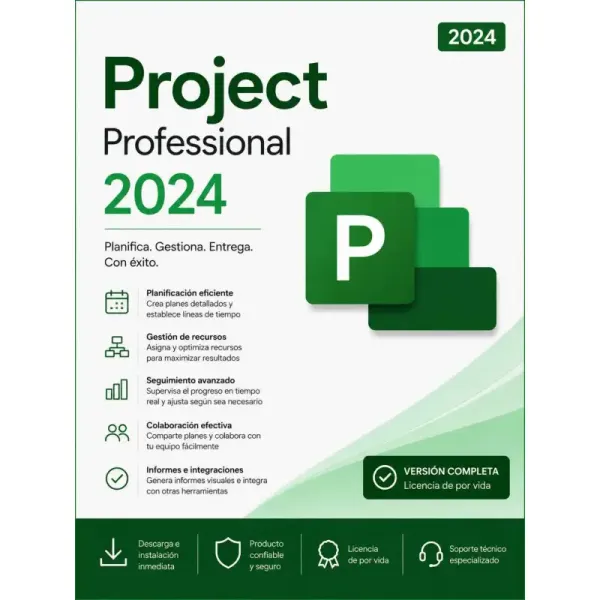 Project Professional 2024