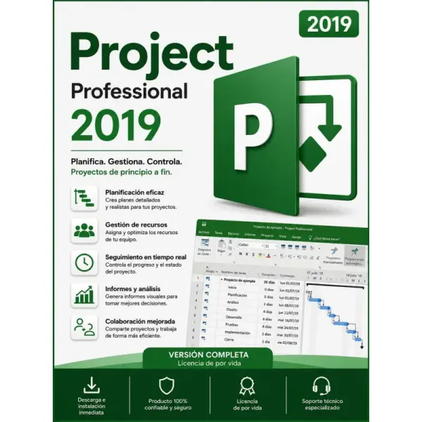 Project Professional 2019
