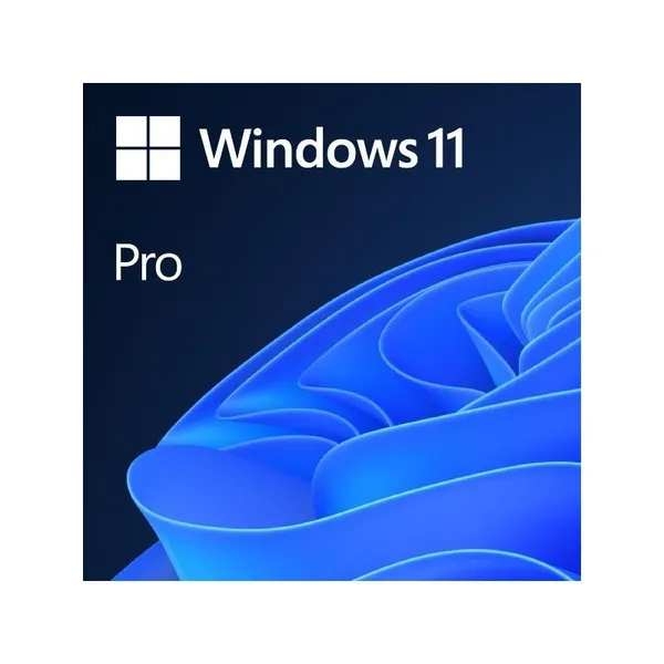 Windows 11 Pro (1 PC)