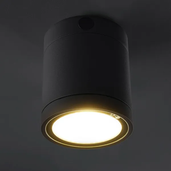 Heitronic Lámpara LED de techo Negro para el exterior