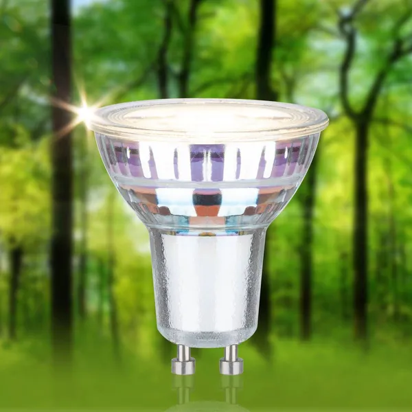 Paulmann bombilla reflectora LED GU10 2,5 W, 3.000 K, 450 lm, 100° 3