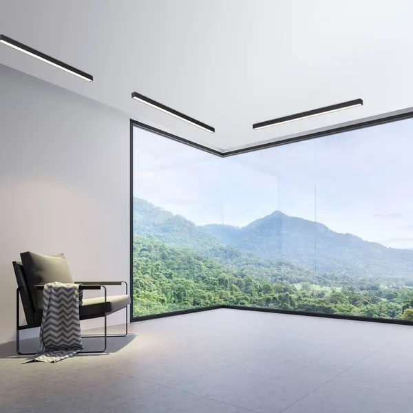 Lámpara LED de techo PURE Lines, 110 cm, antracita, CCT, control remoto