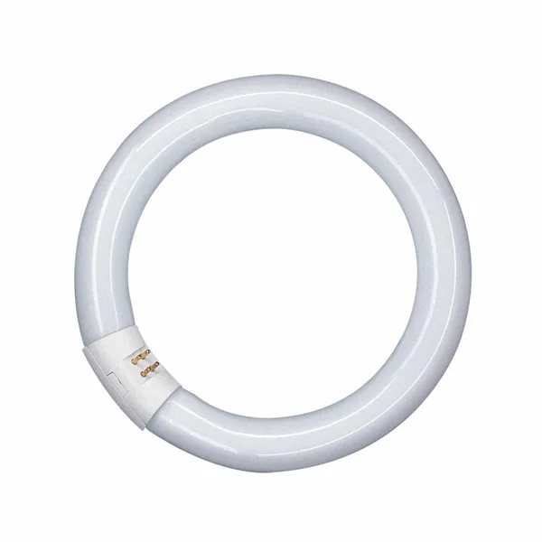 OSRAM G10q 22W 865 Lumilux T9C anillo fluorescente
