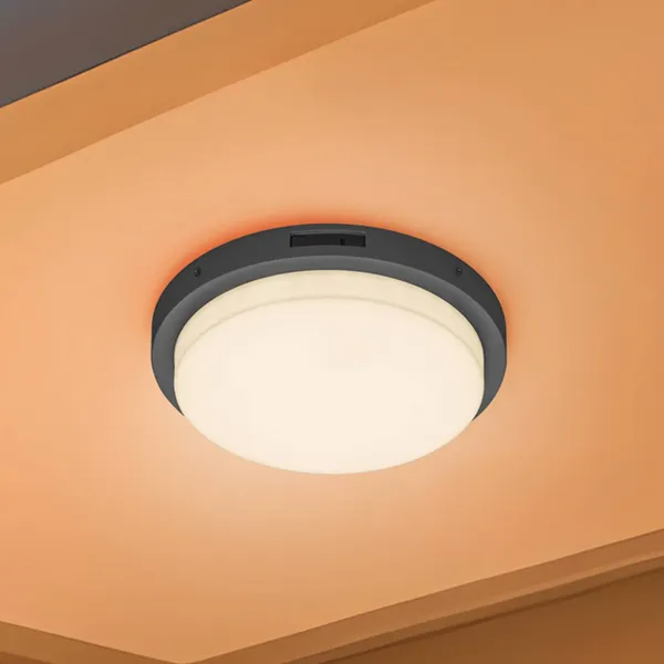Trio Lighting Aplique LED para exterior Bermejo, redondo, sensor, CCT, antracita