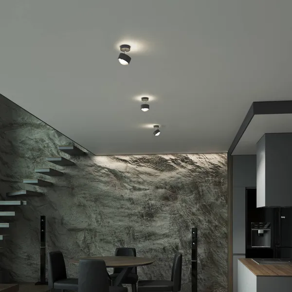 Top Light Puk! 80 Turn Up/Downlight lente mate antracita