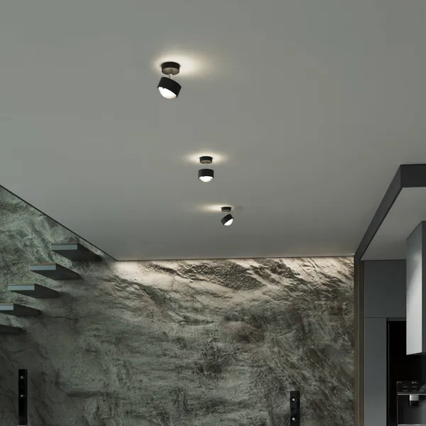 Top Light Puk! 80 Turn Up/Downlight lente mate negro/cromo