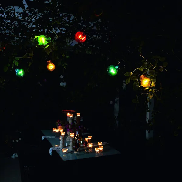 Konstsmide Christmas Cerveza jardín de hadas luces 20 bombillas convencionales LED