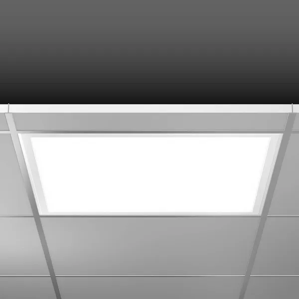 BEGA RZB Sidelite Eco Panel LED DALI 62,2 cm 29 W 830
