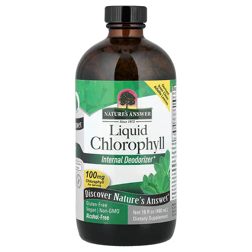 Nature's Answer, Clorofila líquida, Sin alcohol, 480 ml (16 oz. líq.)