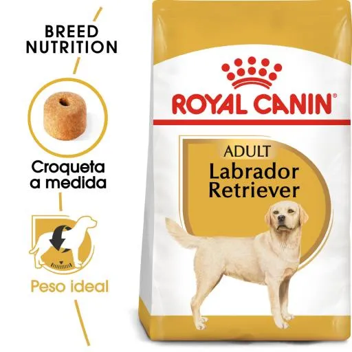 Labrador Retriever Adult Pienso para Perro Adulto de Raza 3 Kg
