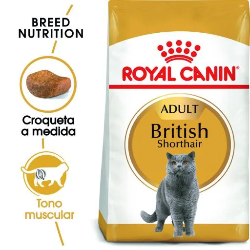 British Shorthair Pienso para Gato Adulto de Raza 10 KG
