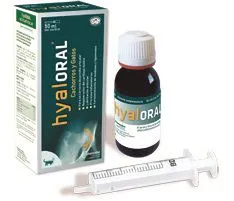 Hyaloral Condroprotector en Gel para el Cuidado de Articulaciones en