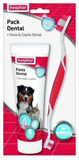 Kit Dental con Cepillo de Dientes y Pasta Dentífrica 2 Piezas