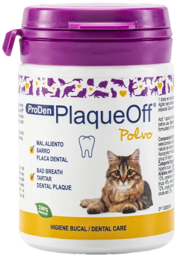 Placa Off Gato Bote 40 GR