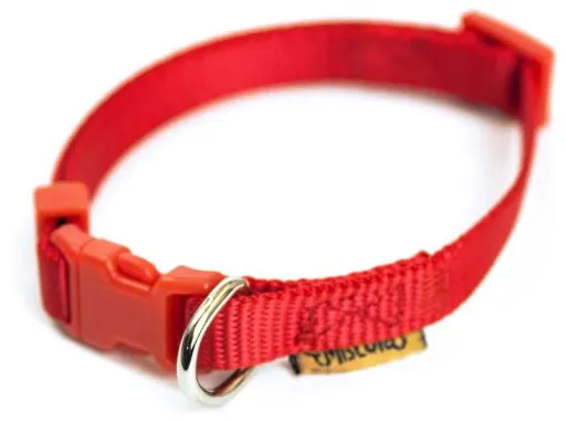 Collar de Nylon Rojo para Perros 35-53cm x 20mm