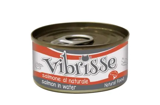 Comida Húmeda para Gatos de Salmón al Natural 70 GR