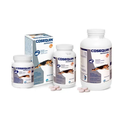 Advanced Condroprotector Ds Msm Ha 40 Comprimidos