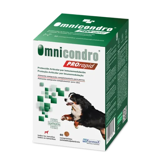 Omnicondro ProRapid 60 Cápsulas
