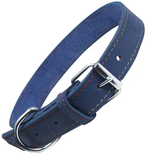 Collar de Cuero Oasis para Perro Azul 40cm x 15mm