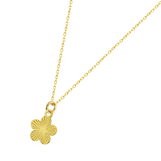 Flor Time Road Hin00479/45 Oro, Mujer