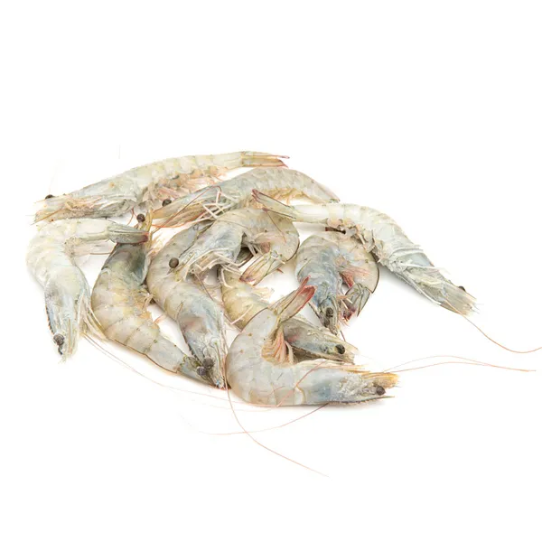 Langostino crudo 30/40 kilo