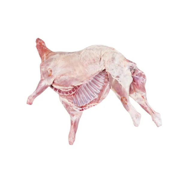 Cordero ternasco 13/16 kilo