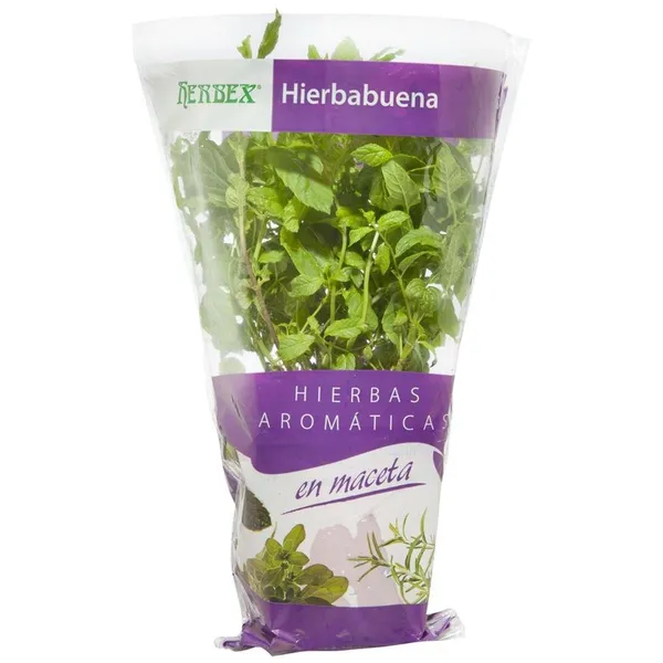 Hierbabuena ecológica (p.min 25g tallo min 19cm) maceta