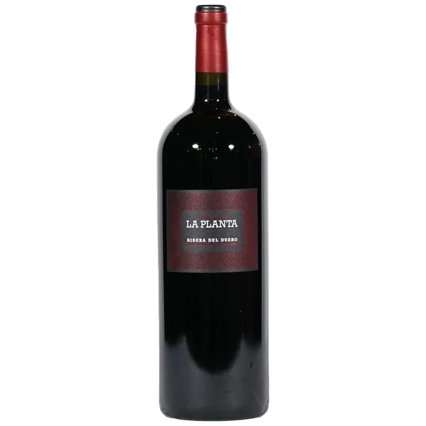 Vino tinto D.O.Ribera del Duero LA PLANTA Roble botella magnum 1,5 l