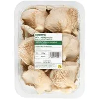 Seta para plancha EROSKI, bandeja 500 g