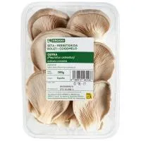 Seta ostra EROSKI, bandeja 200 g
