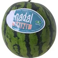 Sandía mini, pieza al peso aprox. 2 kg