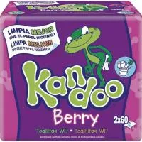 Toallitas wc frutas del bosque KANDOO, pack 2x60 u