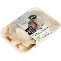 Seta ostra ecológica, bandeja 200 g